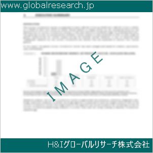 グローバルリサーチ調査資料のイメージ